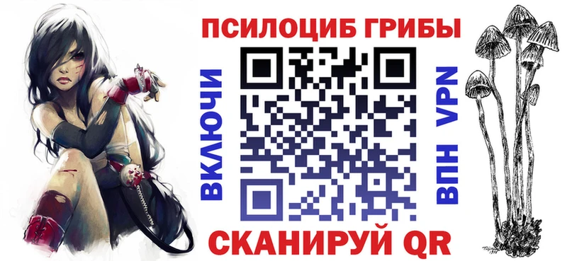 Псилоцибиновые грибы Psilocybine cubensis  блэк спрут зеркало  Ковылкино 